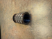 detail_422_IMG_2780.jpeg
