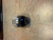 detail_421_IMG_2776.jpeg