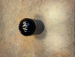 detail_422_IMG_2778.jpeg